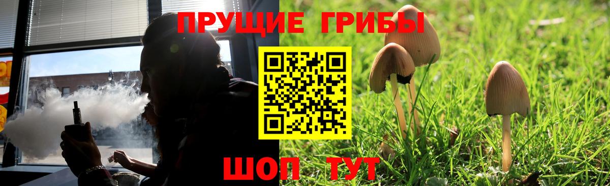 Великий Новгород  Галлюциногенные грибы Cubensis  Вход с VPN  Псилоцибиновые грибы прущие грибы 
